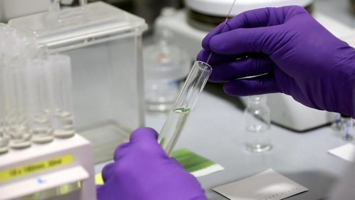 Investigadores australianos investigan sobre un fármaco antiparasitario que puede llegar a matar al coronavirus en 48 horas
