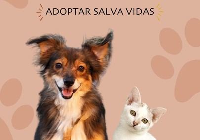 Ayuntamiento impulsa campaña para fomentar la adopción y reducir el abandono animal