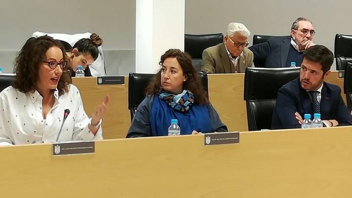 Imagen de la portavoz del PP de Sanse, Lucía Fernández, en las sesión plenaria de las Ordenanzas Fiscales