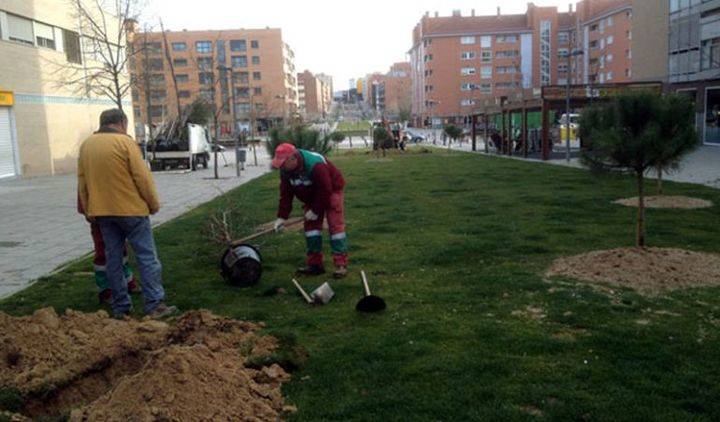 El Ayuntamiento de Alcobendas reparte especies de árboles y arbustos para las zonas verdes